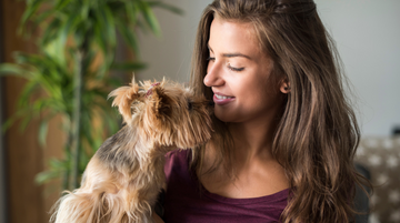 Top 5 Pet Essentials That Your Furry Friend Will Love