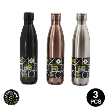 Lemon & Lime 750ML LEAKPROOF STEEL BOTTLE 3PCS ASSORTED COLOUR