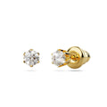 Medici Glam Gold Stud Earrings - Brilliant Co