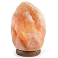 Himalayan Pink Salt Lamp - Brilliant Co