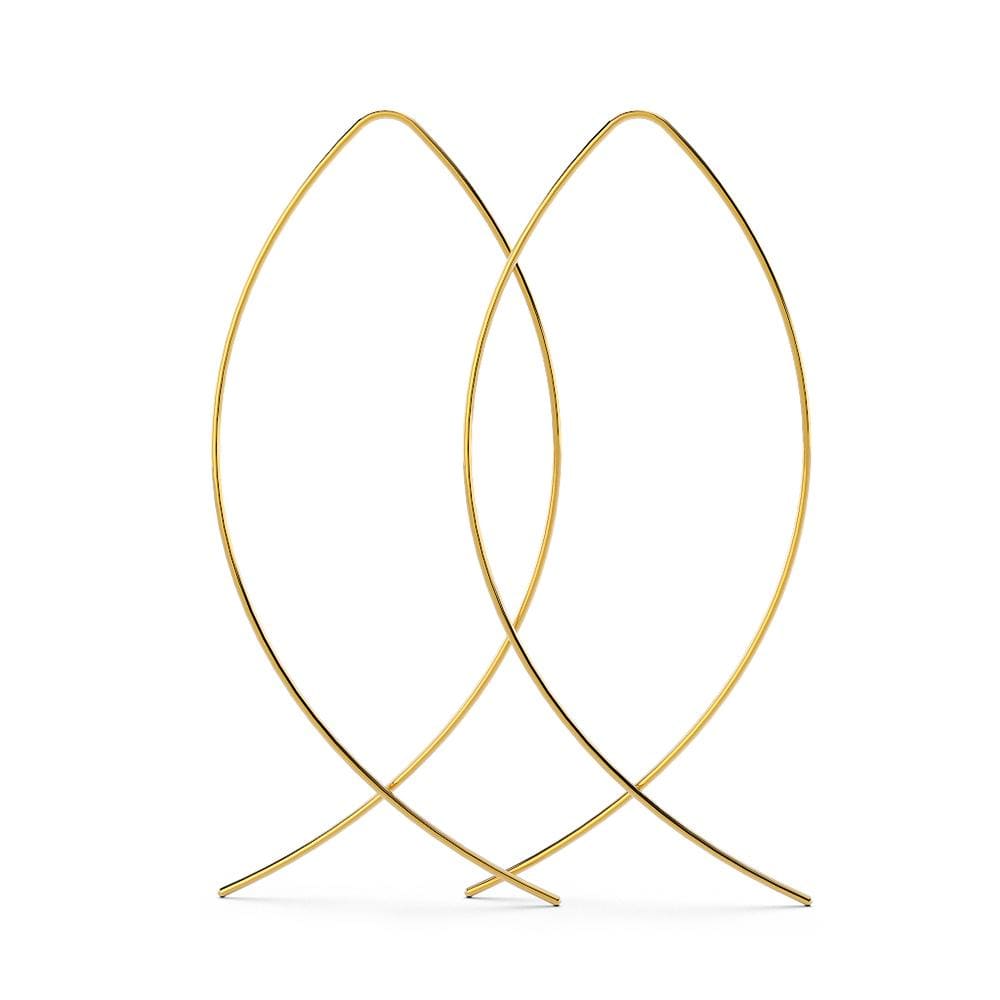 Boxed 2 Pairs of Fish Hoop Earrings in Silver & Gold Plated - Brilliant Co