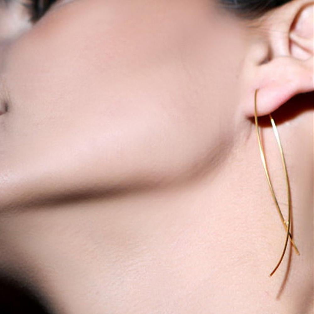 Boxed 2 Pairs of Fish Hoop Earrings in Silver & Gold Plated - Brilliant Co