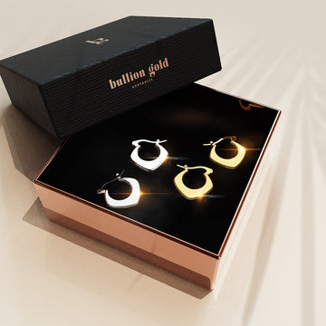 Boxed 2 Pairs of Sylvia Titanium Earrings Set