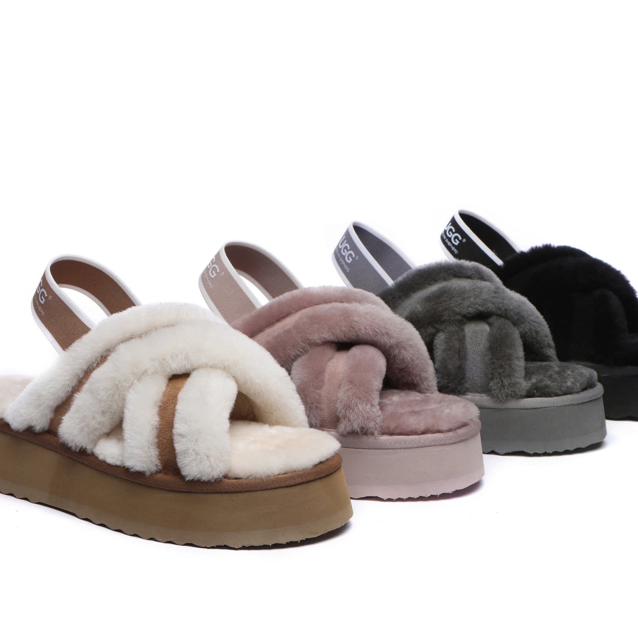 Australian Shepherd UGG® ADITI AS2052