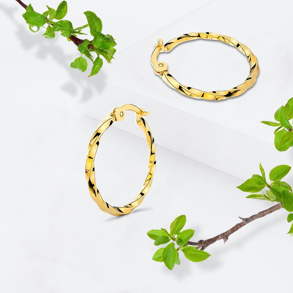 Twisted Hoop Earrings 30mm - Brilliant Co