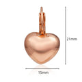 Heart Leverback Earrings - Brilliant Co