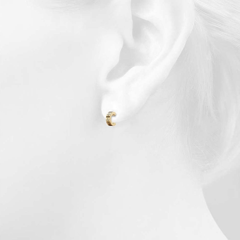 Iris Zircon Gold Hoop Earrings - Brilliant Co