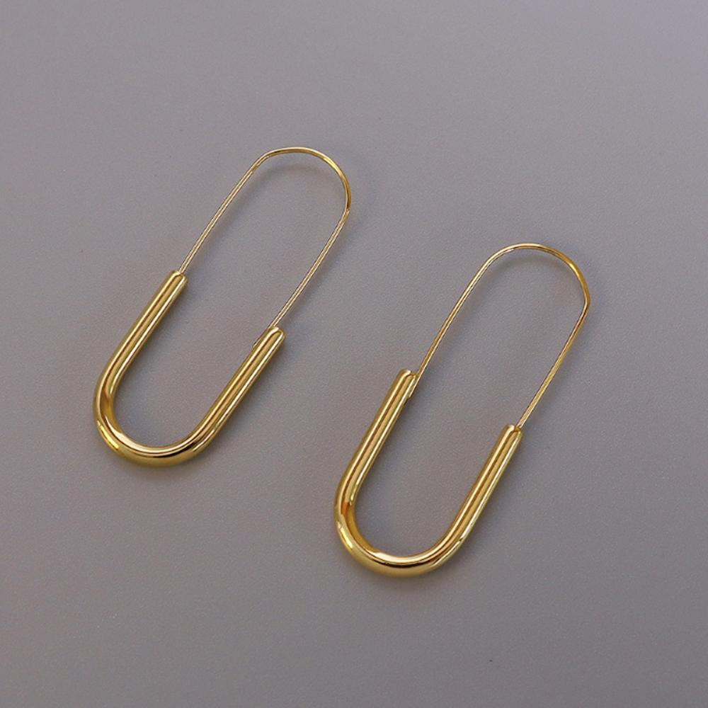 Havana Gold Titanium Dangle Earrings - Brilliant Co