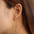 Havana Gold Titanium Dangle Earrings - Brilliant Co