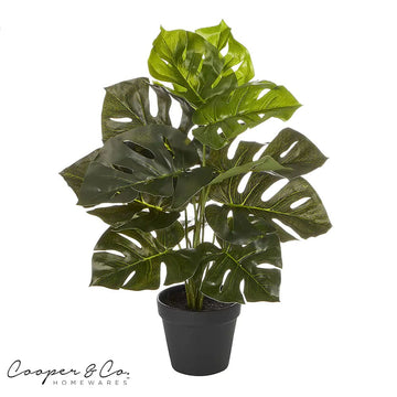 Cooper &Co. 45cm Tall Potted Artificial Monstera