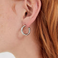 Boxed 3 Pairs of Erica Titanium Earrings Set in White Gold