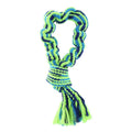 Paws & Claws TUG-OF-WAR BUNGEE ROPE LOOP - BLUE/GREEN - Brilliant Co